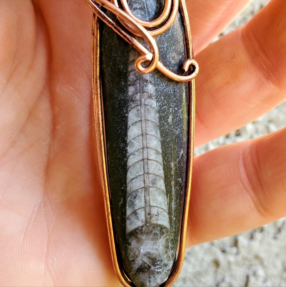 New Oversized Orthoceras Fossil Wire Wrapped Pendant. - Picture 10 of 15